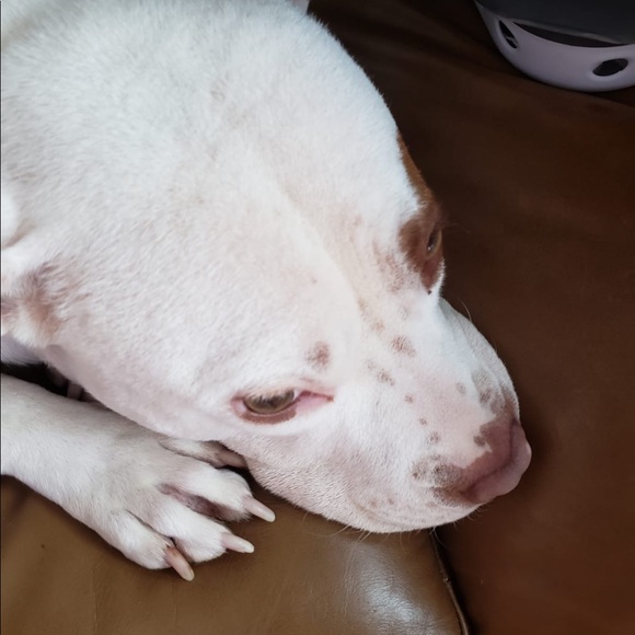 Meet your Posher, Maireny - Picture 2 of 3